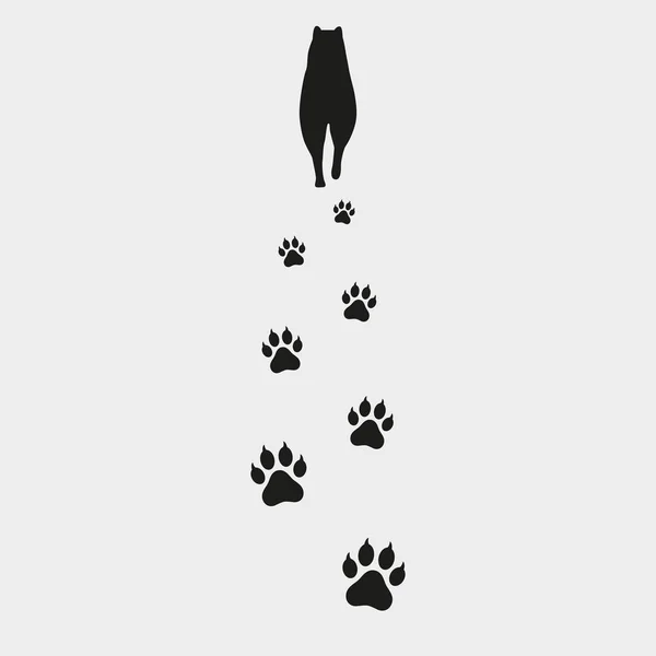 Piste pour chien sur fond blanc — Image vectorielle