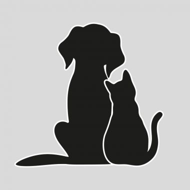 Kedi ve köpek gri bir arka plan üzerinde