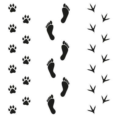insan kuş ve köpek beyaz arka plan üzerinde