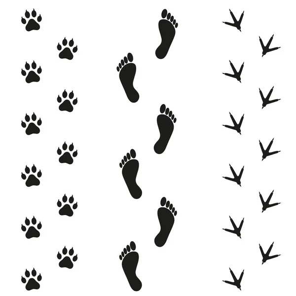 Traces d'oiseaux et de chiens humains sur fond blanc — Image vectorielle