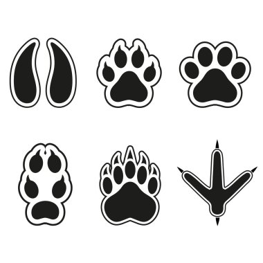 hayvanlar beyaz bir arka plan üzerinde izleri