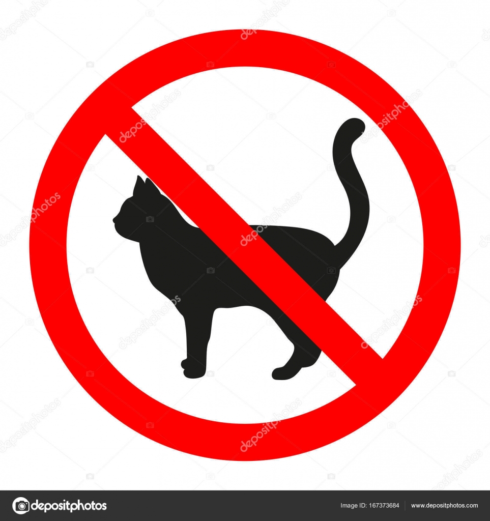 kedi satmak yasak mı