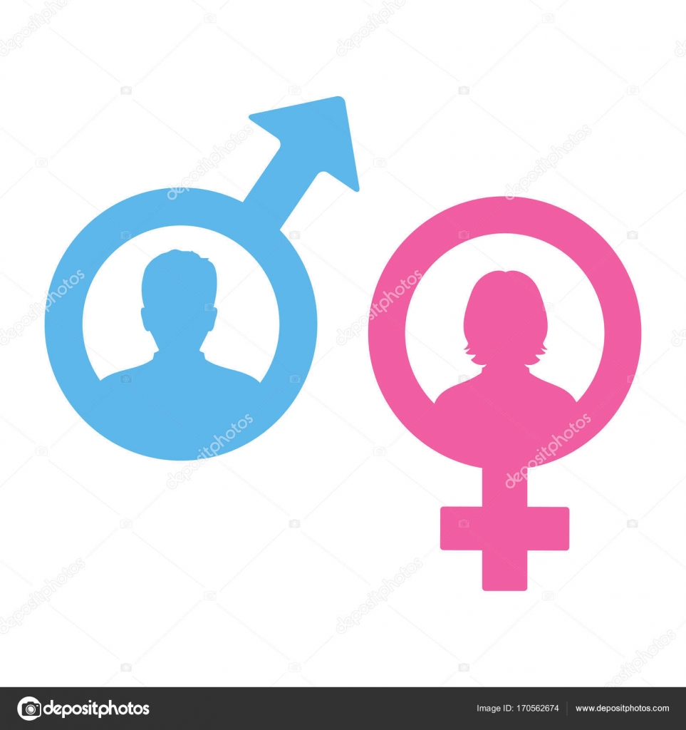 Male And Female Symbols Stock Vector by ©Elena3567 170562674