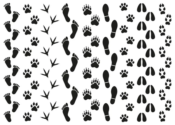 Empreintes de traces de personnes et d'animaux sur fond blanc — Image vectorielle