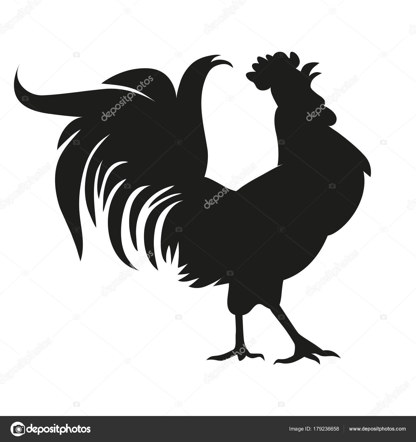 Black Silhouette Rooster Isolated White Background Vector