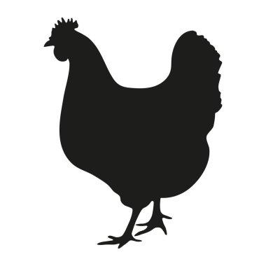 Beyaz bir arka plan üzerinde siyah tavuk siluet