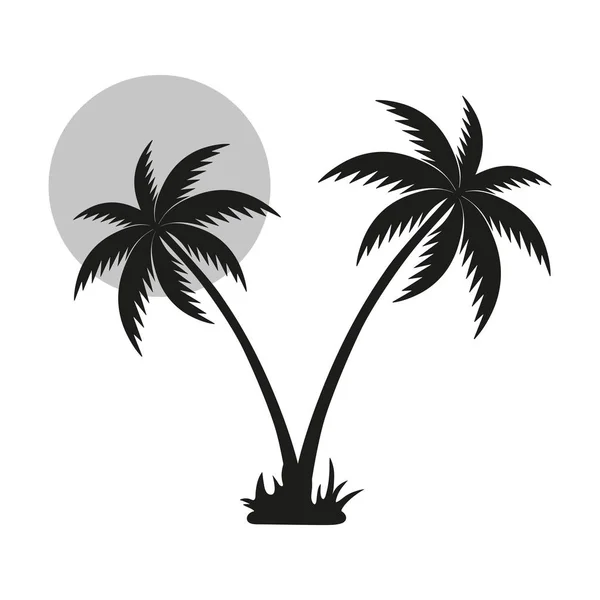 Beyaz Zemin Üzerine Bir Ile Bir Siyah Palmiye Ağacı Silüeti — Stok Vektör