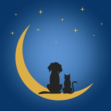 bir köpek ve bir kedi ayın yıldızların altında geceleri oturup
