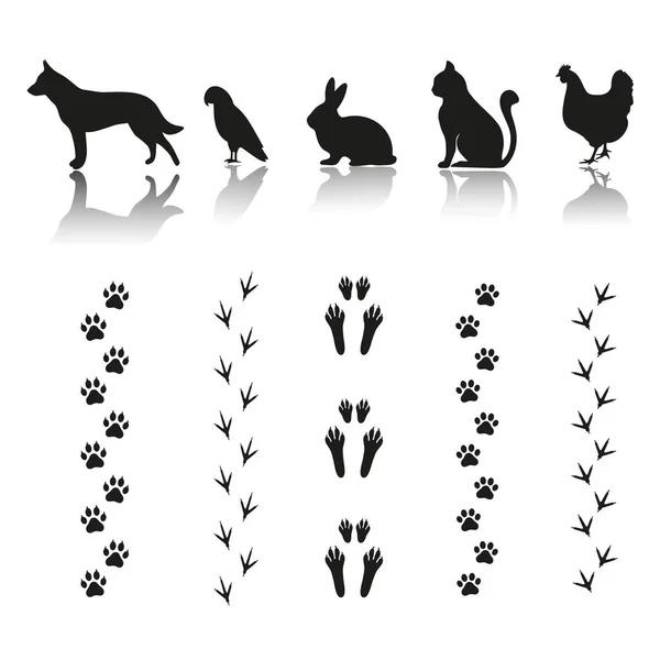 Silhouettes Animaux Avec Des Empreintes Pas Sur Fond Blanc — Image vectorielle