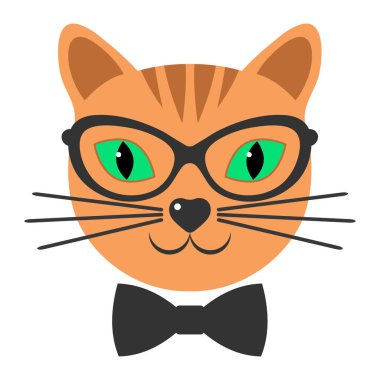 Gözlüklü ve beyaz arka planda fiyongu olan sevimli kızıl bir kedinin kafası.