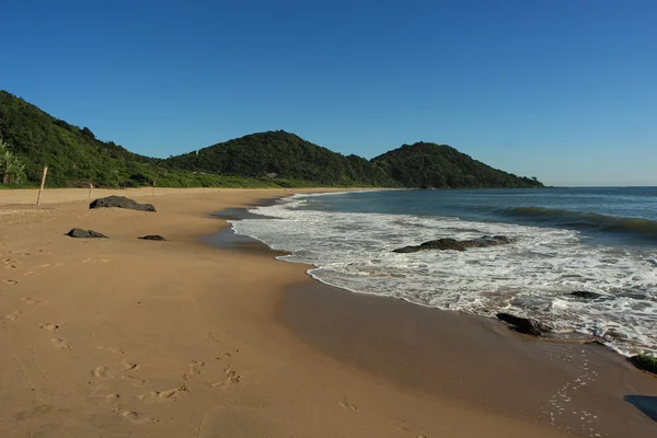 Woestijnstrand in Brazilië — Stockfoto