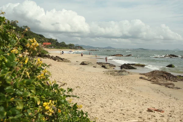 Pláž v Penha, Santa Catarina, Brazílie — Stock fotografie