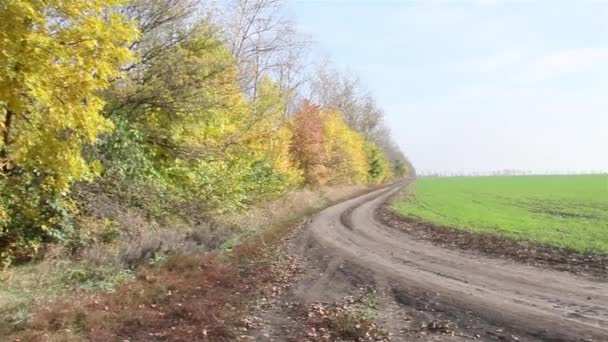 Blick auf Wald und Felder. Herbst. — Stockvideo