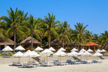  Doktor izin beach, Vietnam. Şemsiye ve şezlong