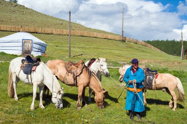 Mongolski man oferuje możliwość jazdy konnej — Zdjęcie stockowe