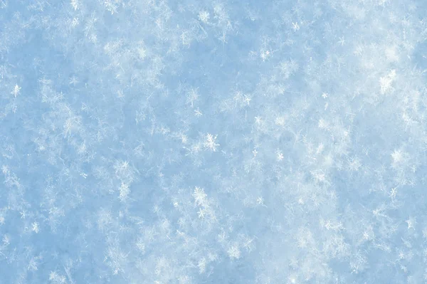 Frischer, flauschiger Schnee — Stockfoto