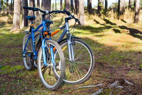 Um par de bicicletas — Fotografia de Stock
