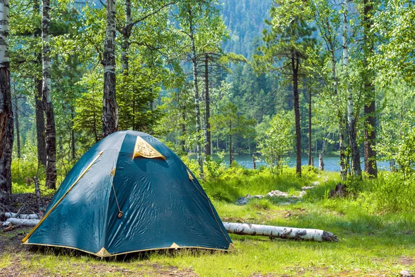 Tent in the forest — Stock Photo, Image