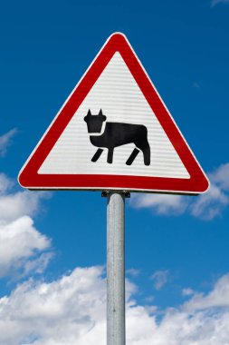 Yolda bir hayvan kayıt 