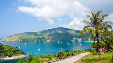 Nai Harn yuva - sıcak yuva güzel bir plaj, Phuket Island, Tayland ile