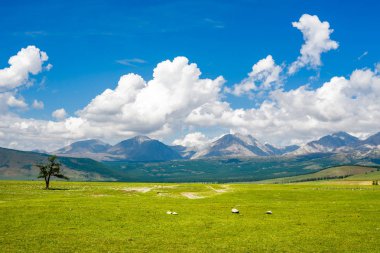 Göl Hovsgol ve Doğu Sayan ridge, Moğolistan dağlar arasında güzel sahne 