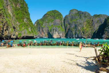 Phi Phi Island, Tayland. Nakliye için-Maya beach Bay turistlere tekne 