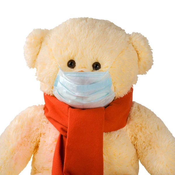 Teddy bear with a scarf and mask isolated on white.