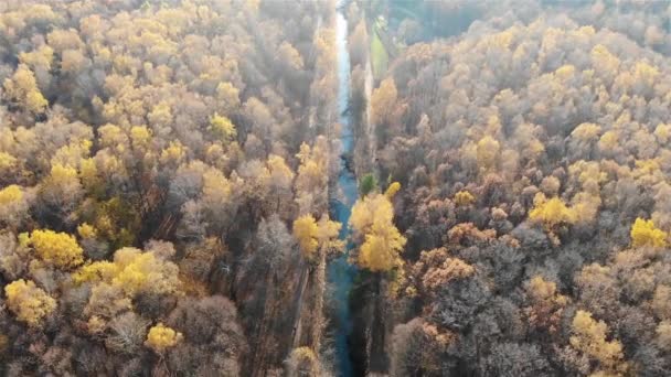 Κοιτάζοντας Κάτω Στο Φθινόπωρο Δάσος Και Ποτάμι — Αρχείο Βίντεο