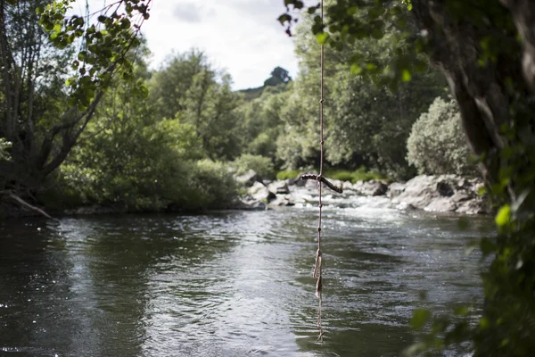 stock image Playing in the river