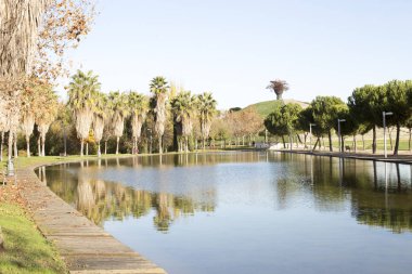 Manzanares doğrusal park
