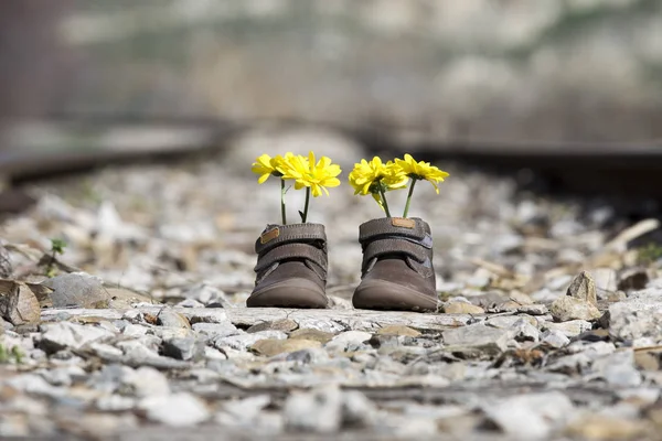 Bir trende Sarı çiçekli Bebek Patiği izlemek