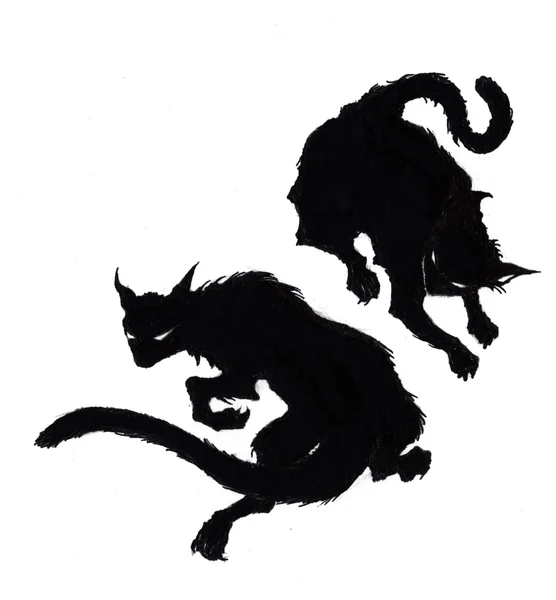 Zwei gruselige schwarze Halloween-Katzen in Silhouette — Stockfoto