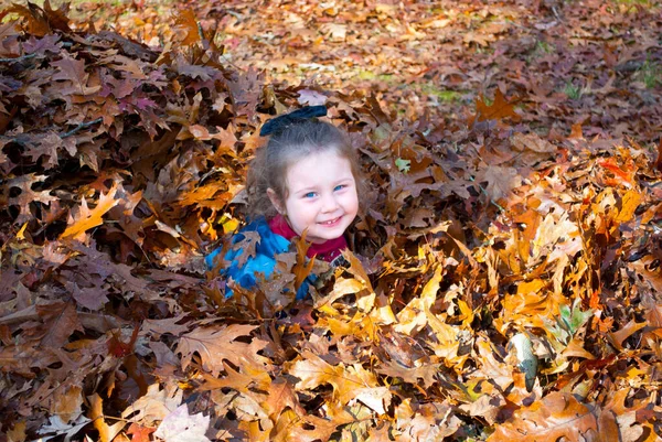 Cute Youngster in fall pile of colorful leaves