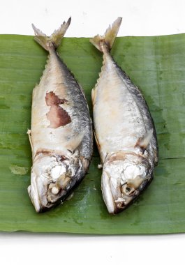 Uskumru yeşil muz yaprağı.