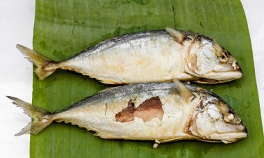 Uskumru yeşil muz yaprağı.