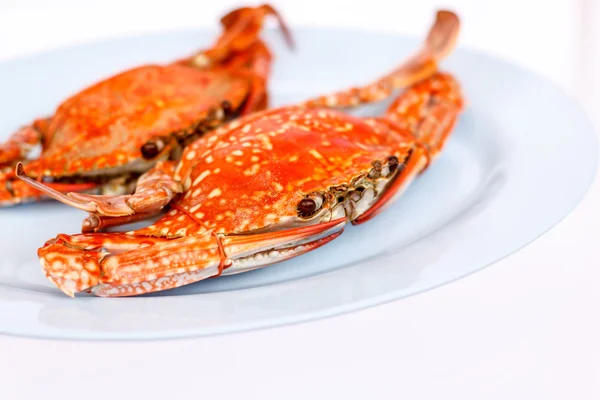 Kokt krabba på vit bakgrund — Stockfoto