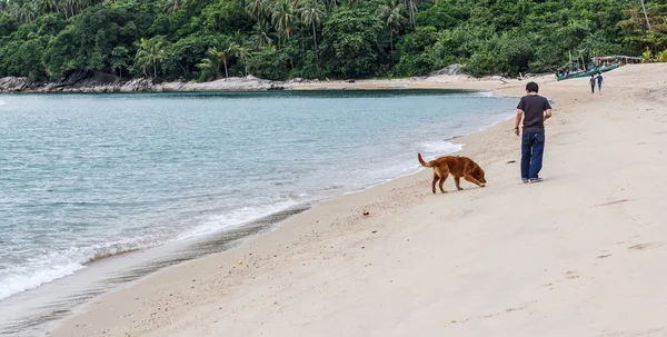 犬と所有者のビーチを散策します。 — ストック写真