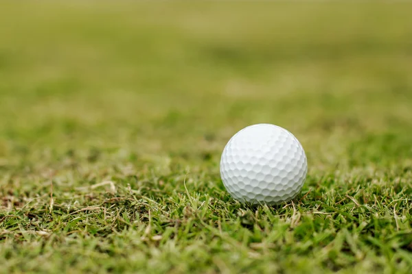Pelotas de golf en hierba — Foto de Stock