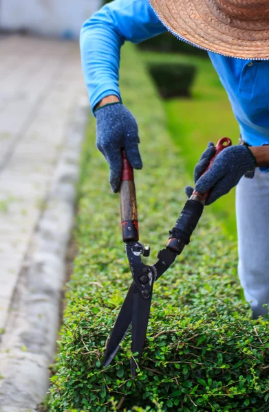 Landscaped Garden Workers — Stock Photo, Image