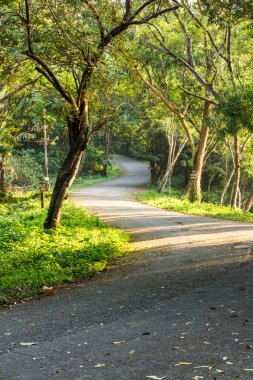 Road, kimse Milli Park giriş