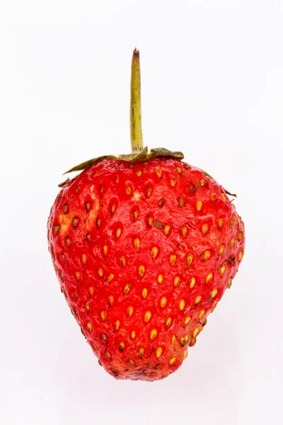 白色背景的草莓. — 图库照片