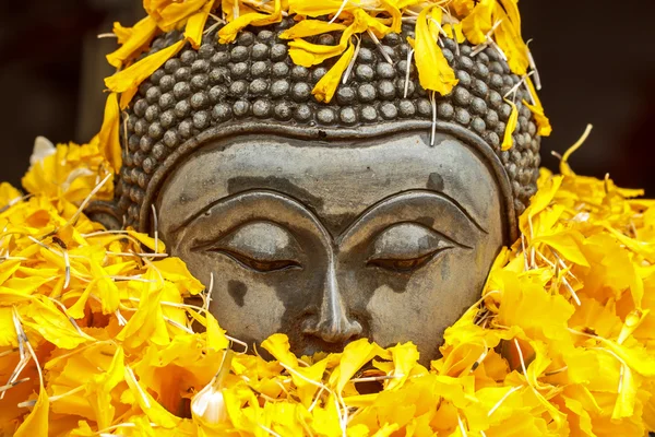 Buddha image head — Stock Photo, Image