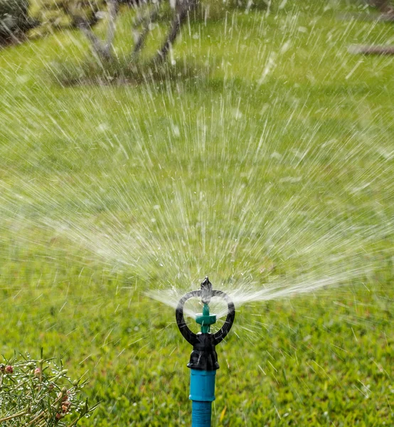 Sprinkler watering garden Stock Picture