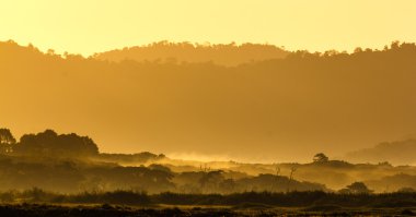güzel bir kış sabahı.