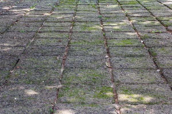 Pavimento de piedra textura del camino el viejo — Foto de Stock