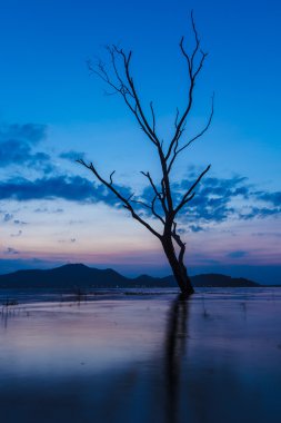 Güneşin son ışıkları 