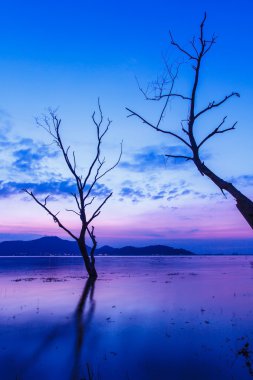 Güneşin son ışıkları 
