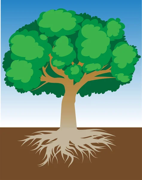 Árbol con raíces y follaje denso, ilustración vectorial — Archivo Imágenes Vectoriales