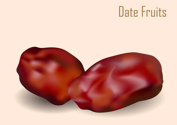 Date Fruits Vector Illustration — Stock Vector