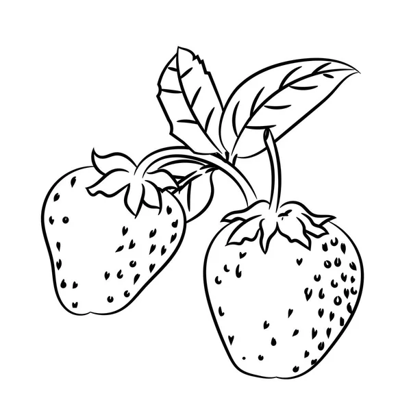 Desenho de linha de Strawberry linha simples Vector — Vetor de Stock